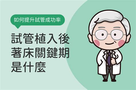 著床位置偏高|試管植入後幾天有感覺？了解著床關鍵期、植入後成功懷孕症狀